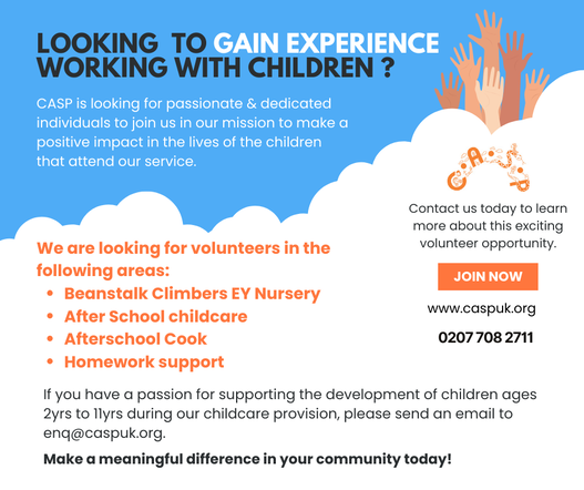 Working with Children Experience